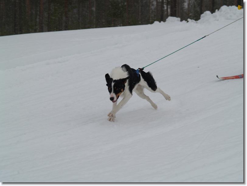 Nästa bild